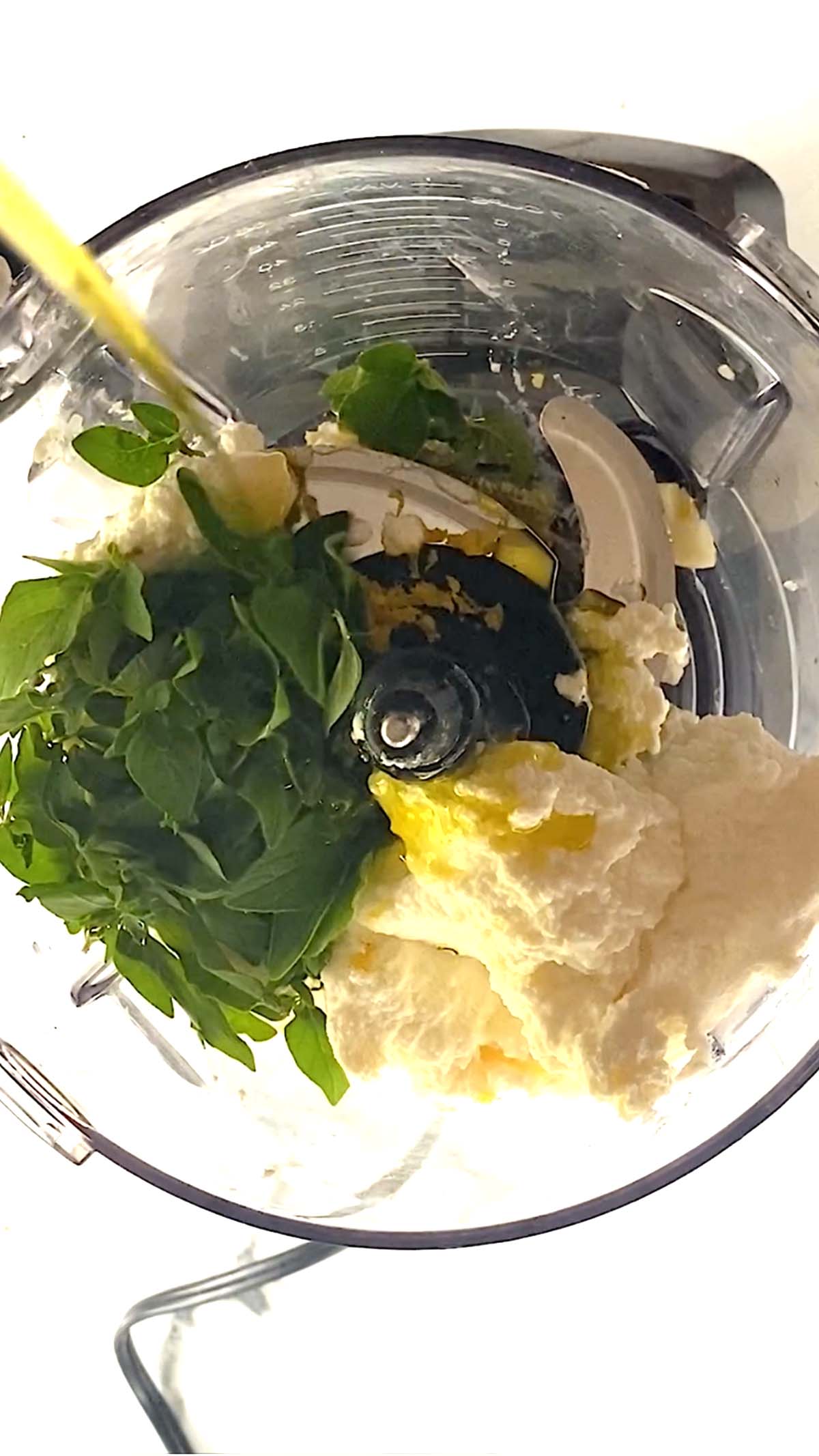 Ricotta, fresh oregano, garlic and olive oil in a food processor jug.