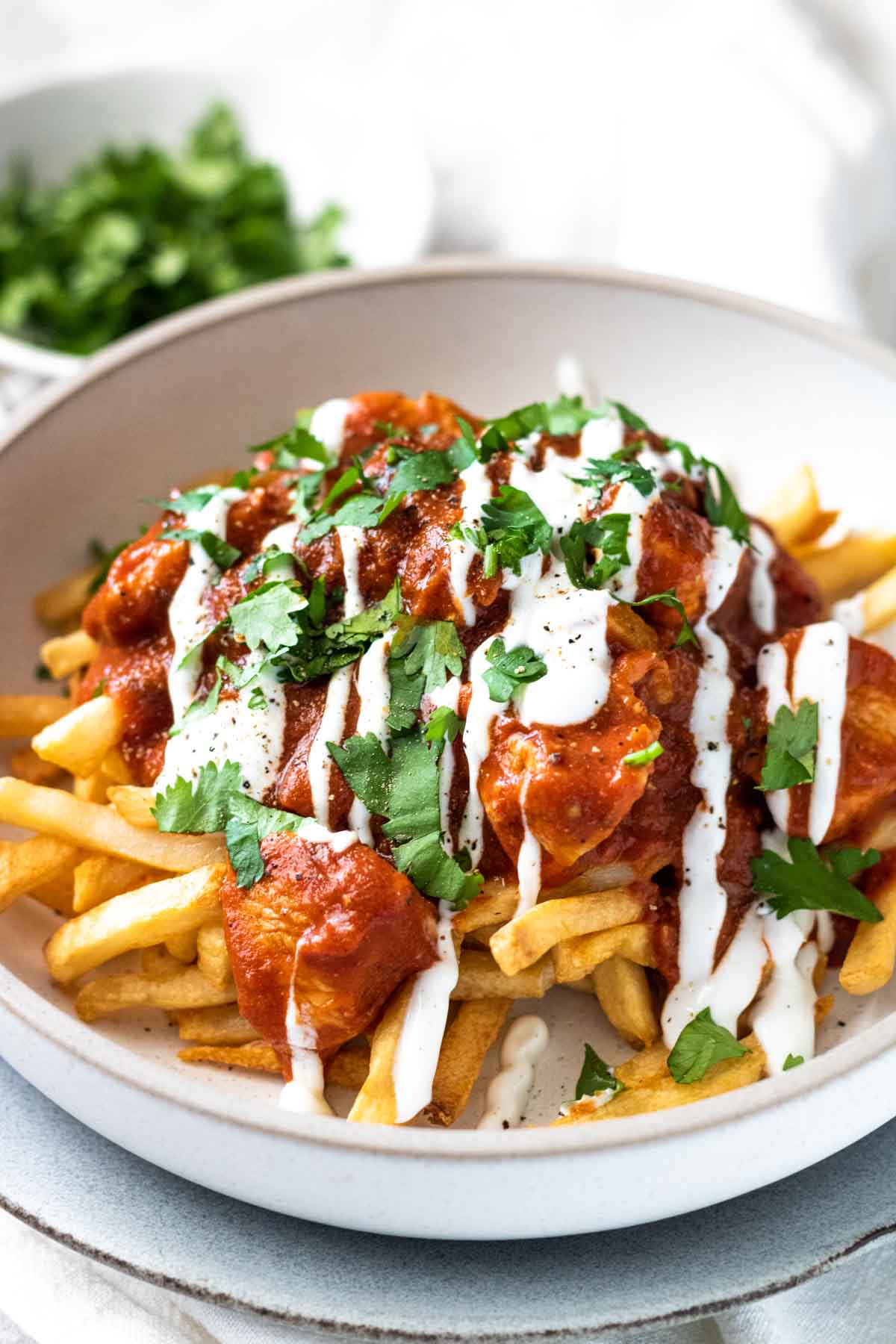 Fries with butter chicken sauce on top.
