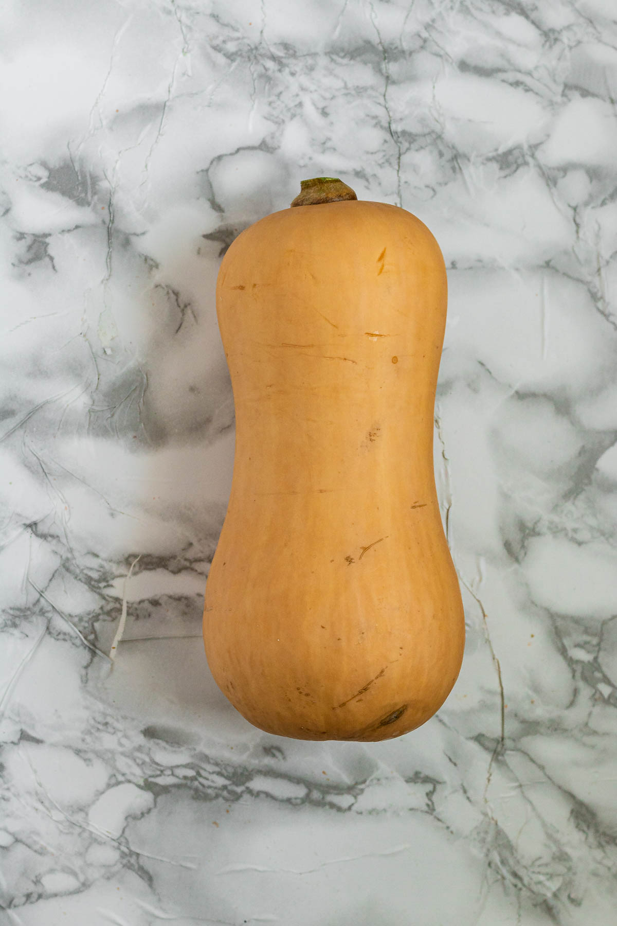 A whole butternut squash on a marble counter.