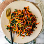 A salad on a plate with onion, carrot, green, and lentils with a fork on the plate.