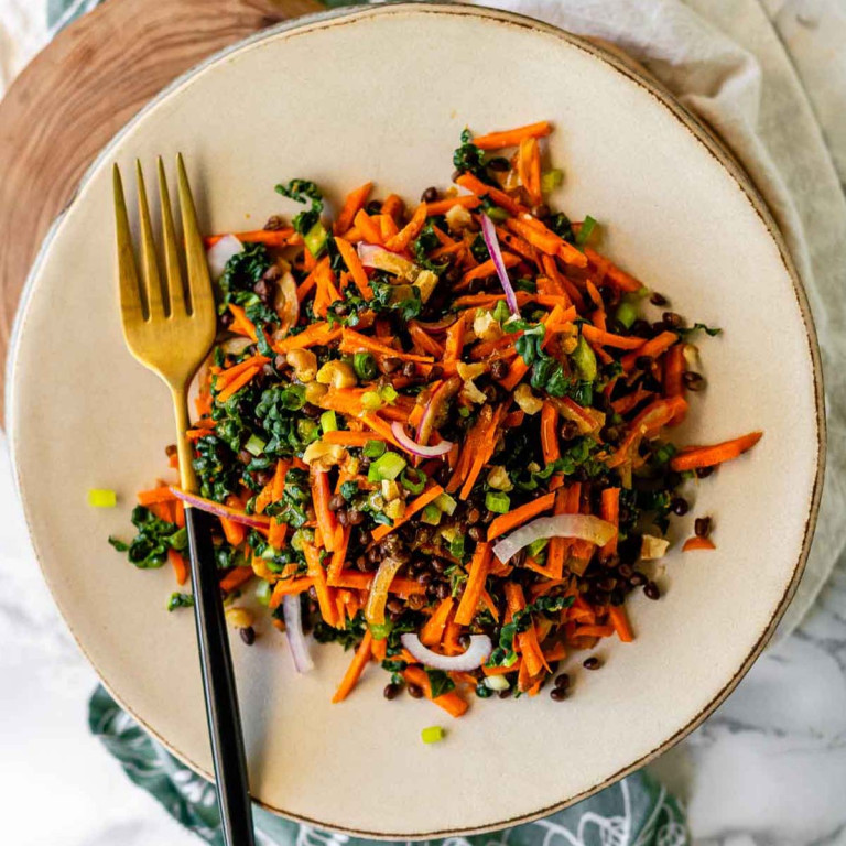 A salad on a plate with onion, carrot, green, and lentils with a fork on the plate.