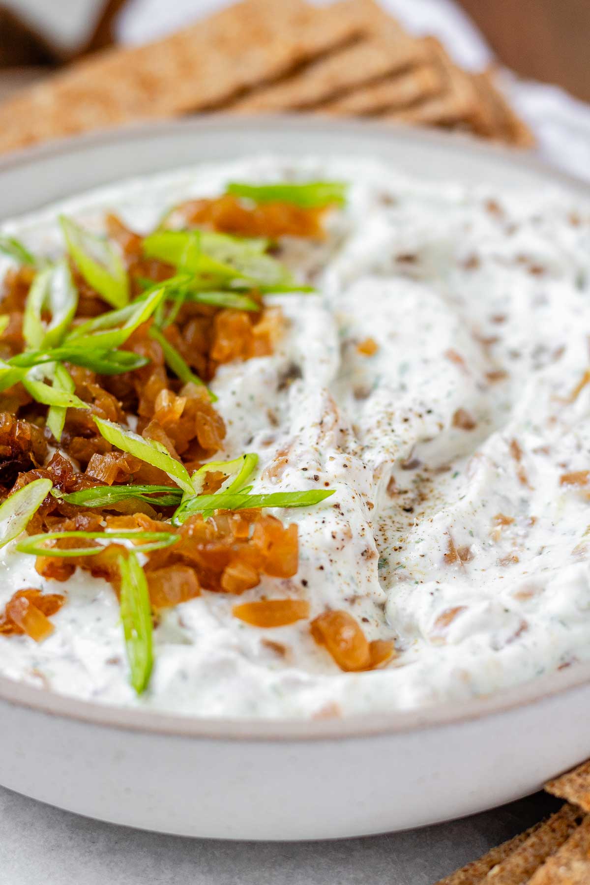 A bowl of white chunky dip with caramelized onion and sliced green onions.