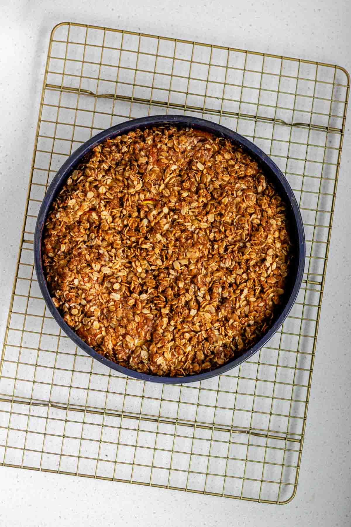 A cake pan with cake topped with oats.