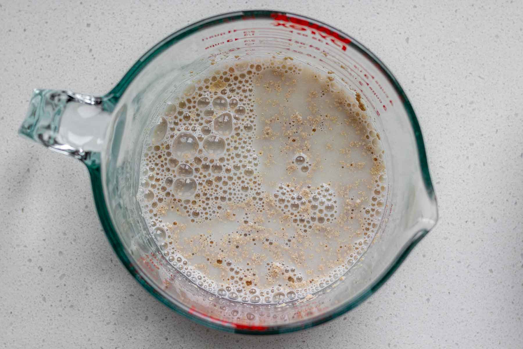 Yeast in water.