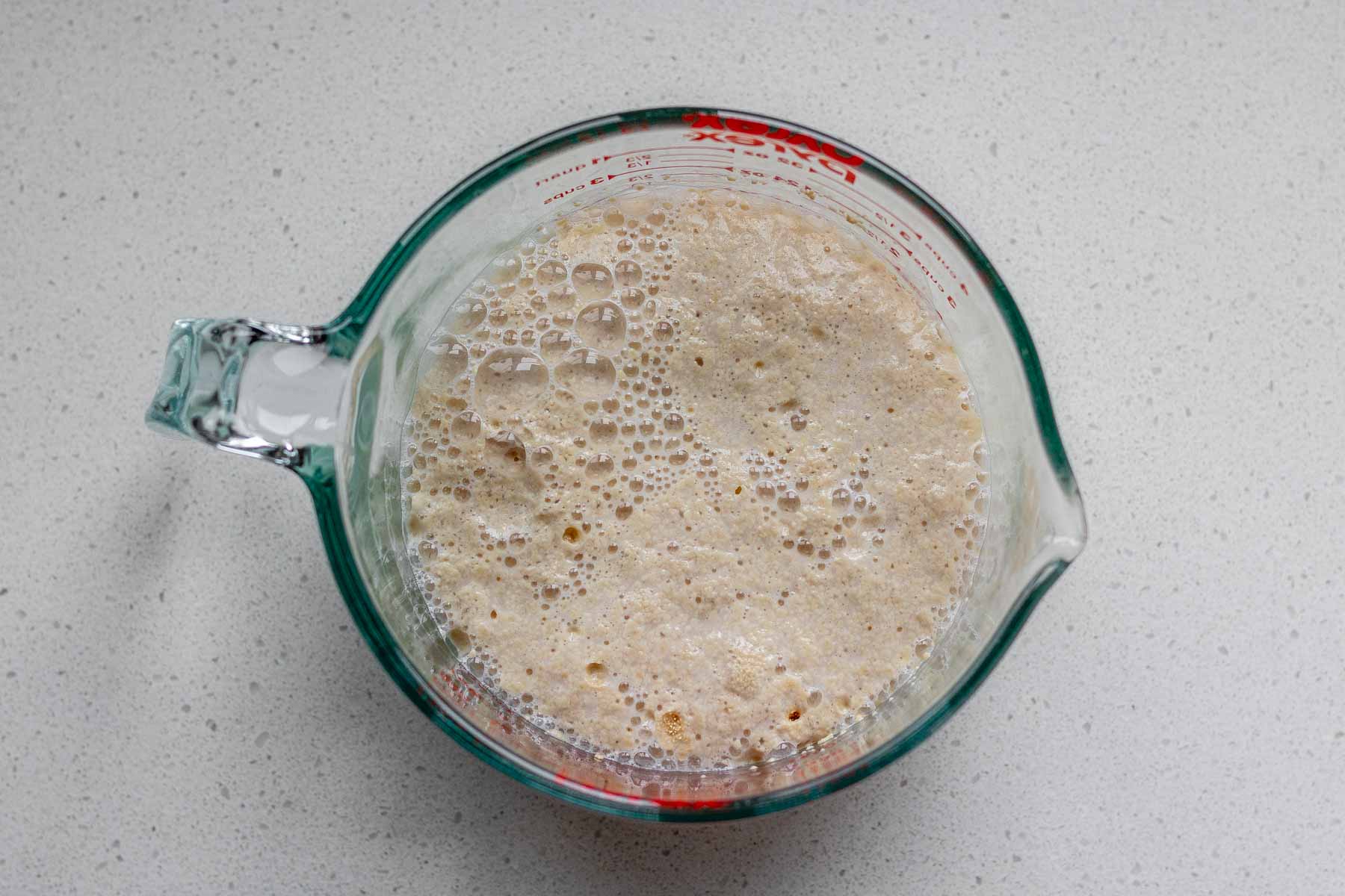 A frothy yeast and water mixture.