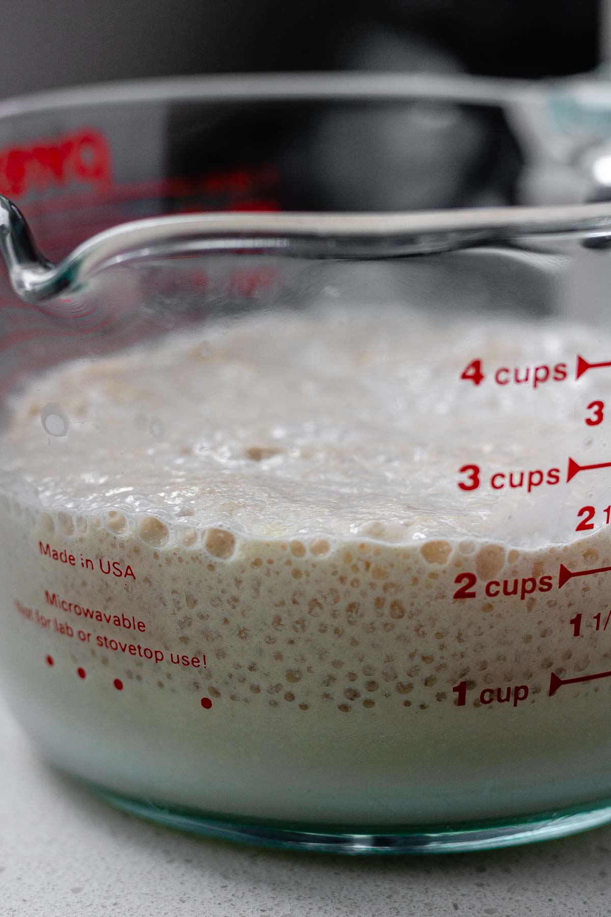 A frothy yeast and water mixture.