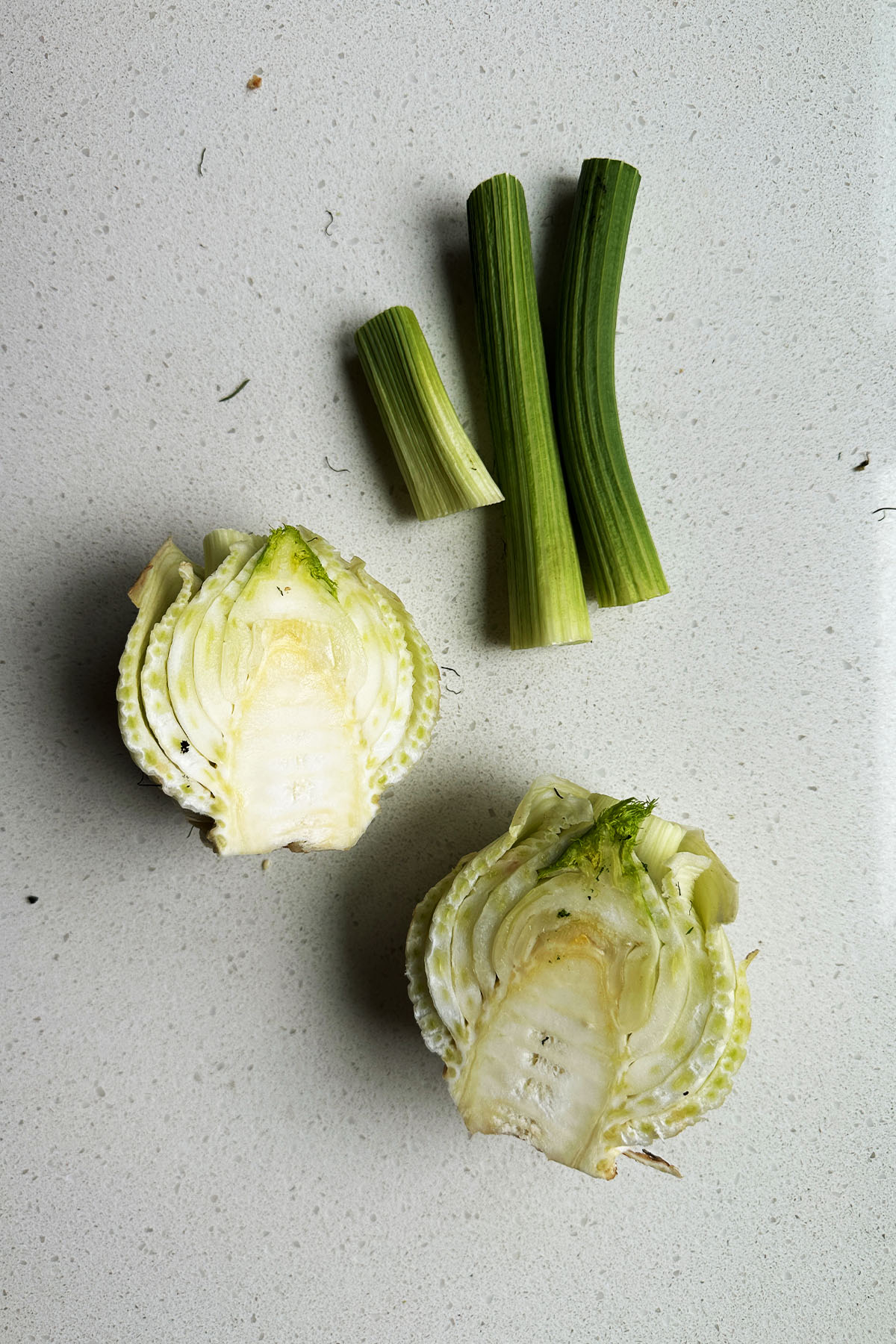 A segmented fennel bulb.