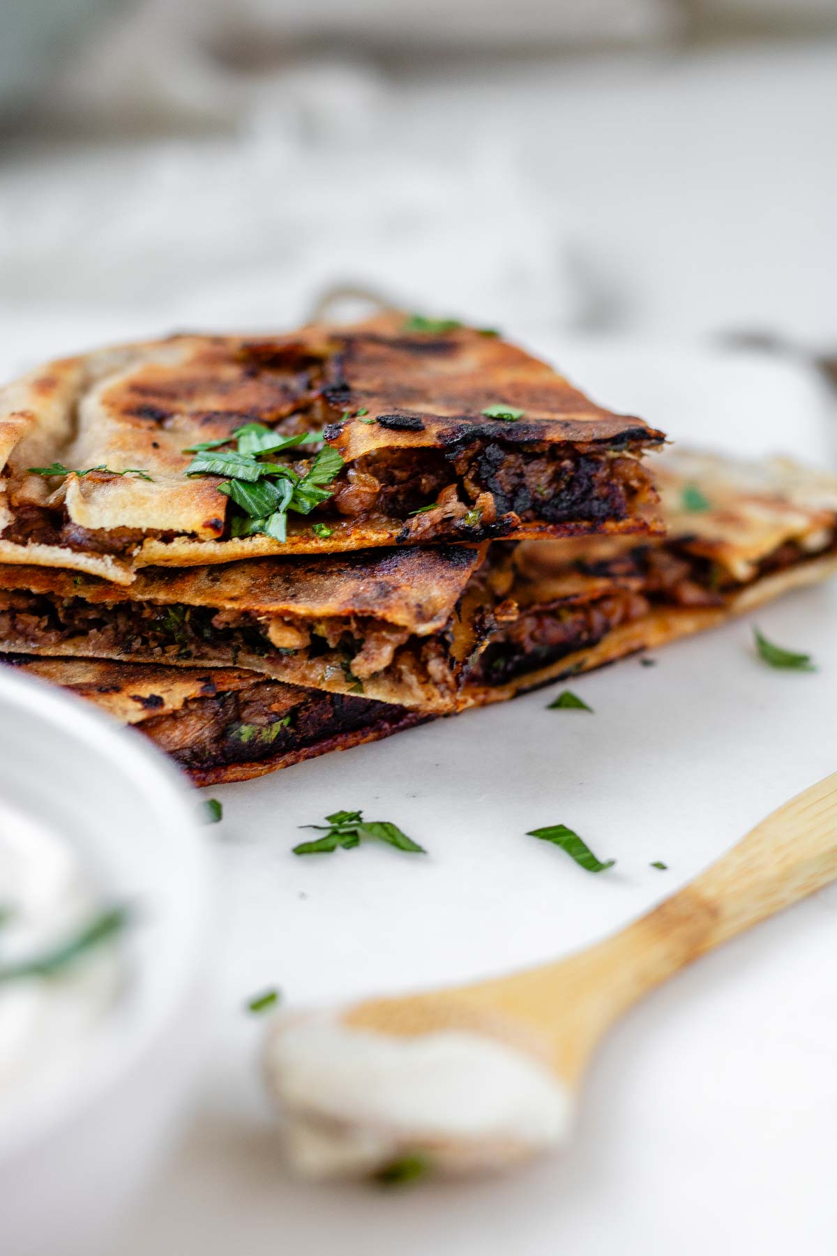 Meat-filled fried pitas.