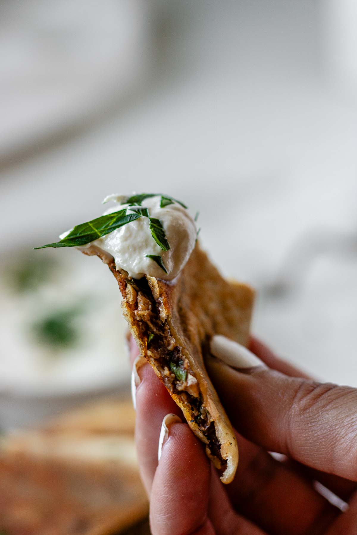 Close-up of a meat-filled fried pita with white sauce.