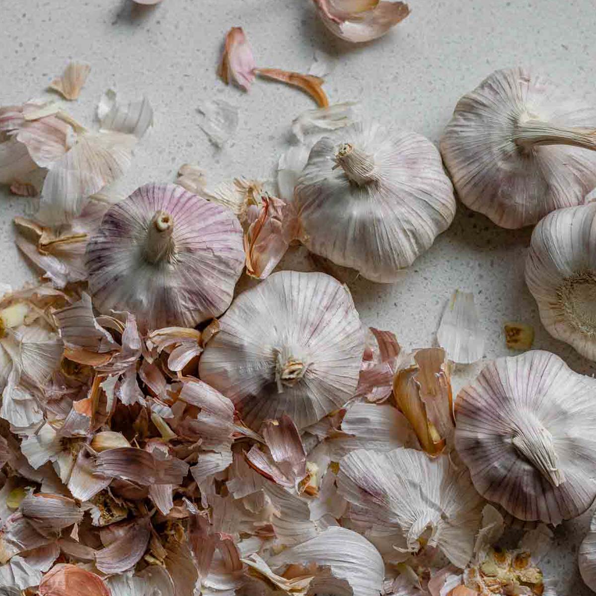 Heads of garlic surrounded by garlic peels.