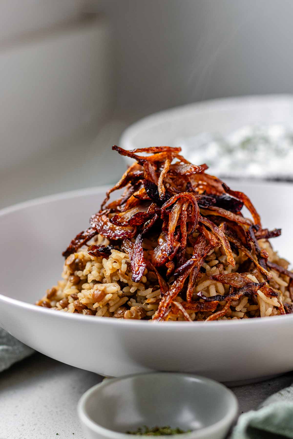 A bowl of rice and lentils, topped with crispy onions.