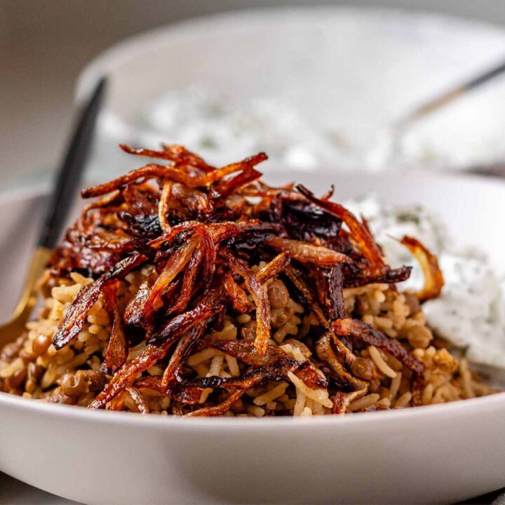 A bowl of rice and lentils, topped with crispy onions.